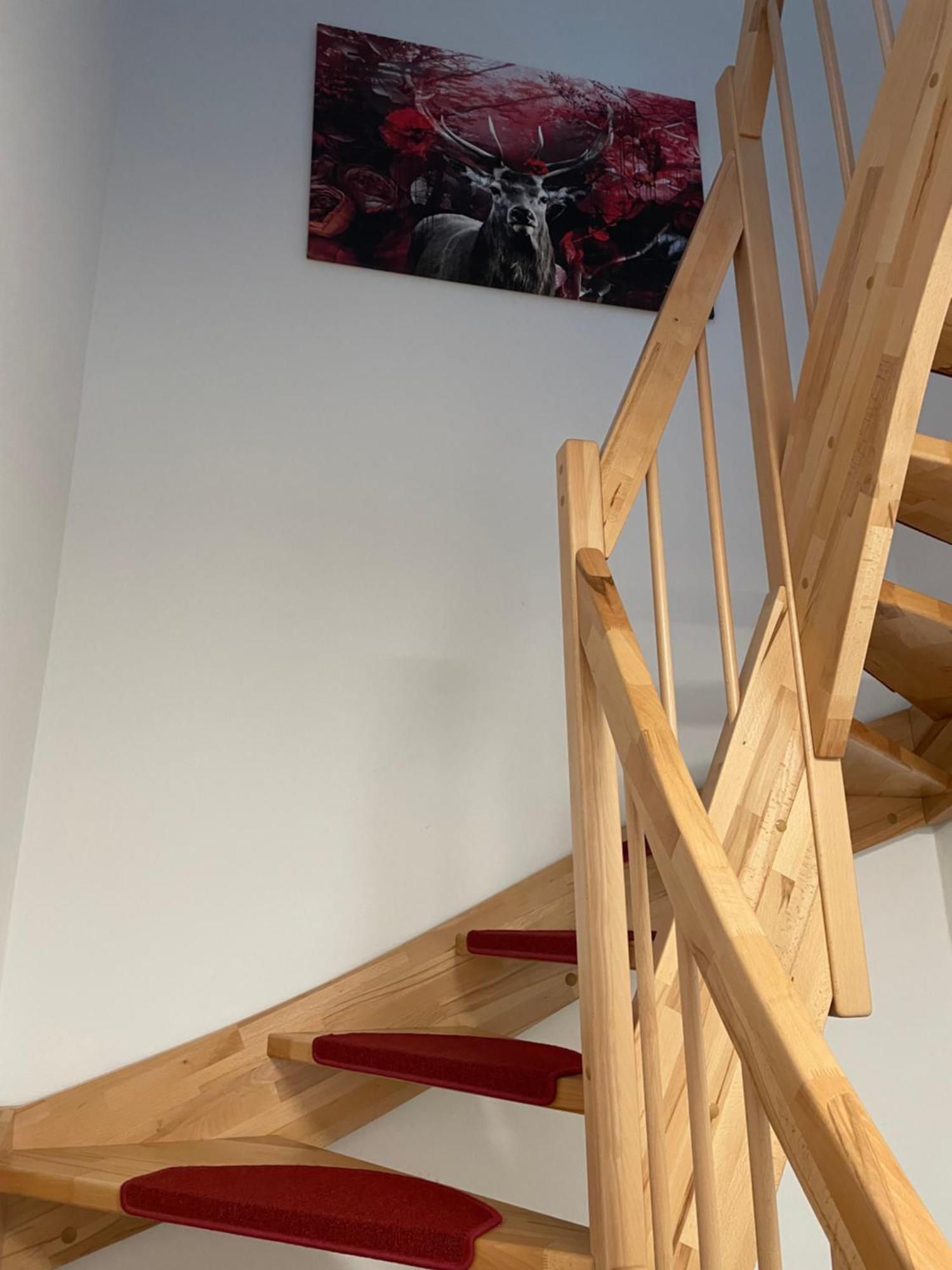 Ferienwohnung Im Gruenen Oranienburg Ngoại thất bức ảnh